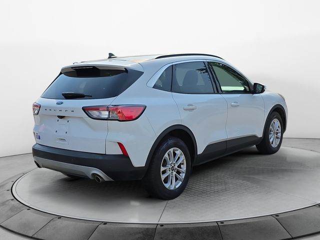 FordEscape5