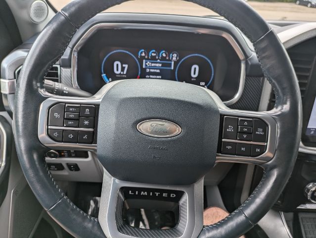 2021 Ford F-150 Limited 21