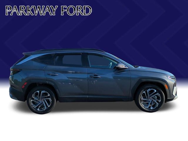 Used 2025 Gray Hyundai Limited image 6