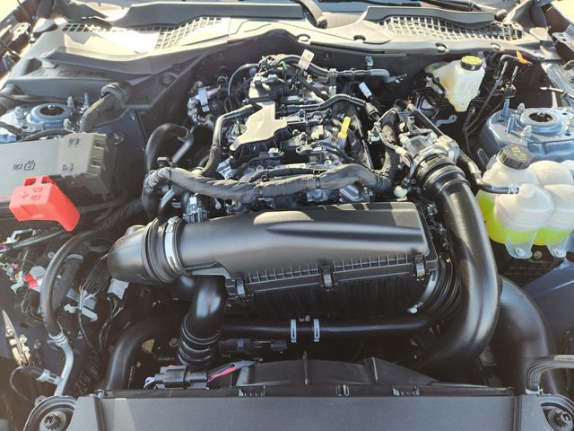 2025 Ford Mustang EcoBoost Premium photo