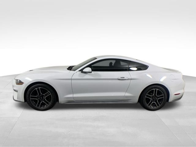 2019 Ford Mustang EcoBoost 4