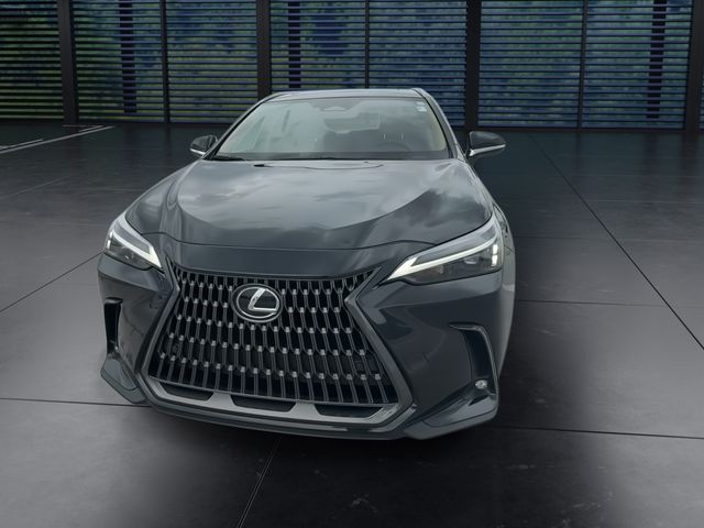 2025 Lexus NX - $41,998