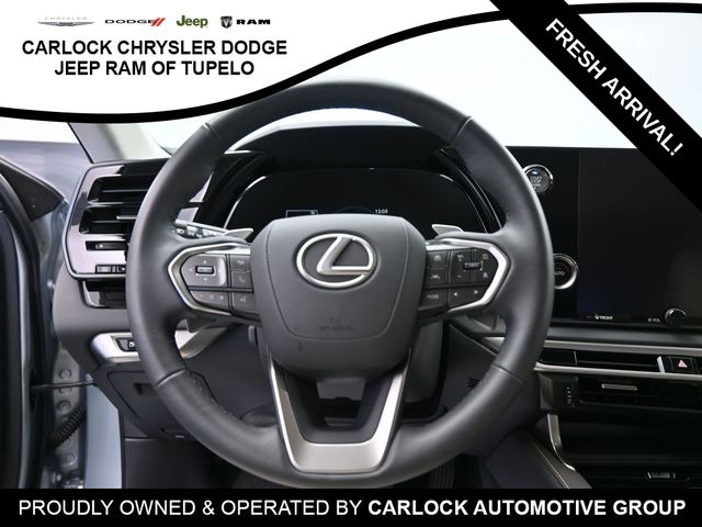 2024 Lexus RX 350 18