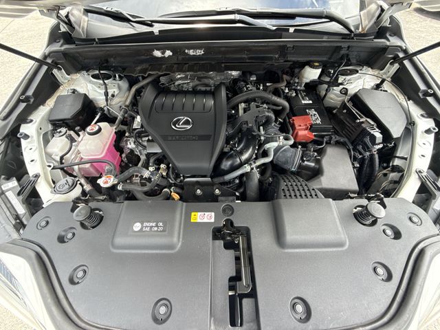 Used 2023 Lexus NX SUV