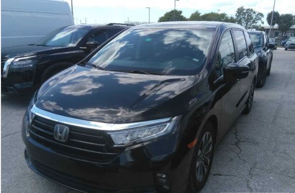 2023 Honda Odyssey EX-L's photo