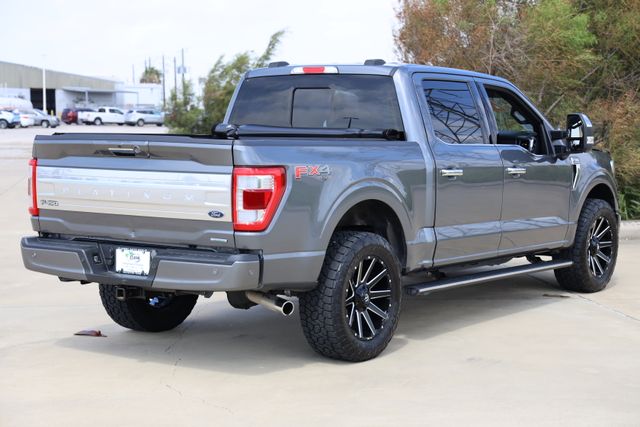 2023 Ford F-150 Platinum - 8