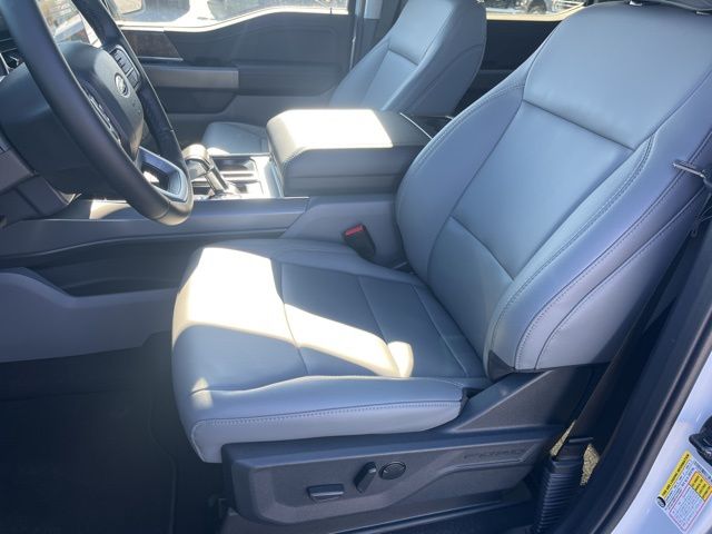 2025 Ford F-150 Lightning Flash:167865