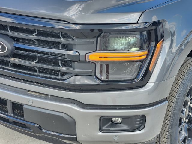 2025 Carbonized Gray Metallic Ford F-150 XLT RWD Truck