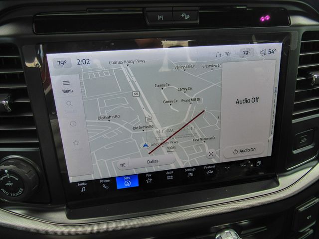 2025 Ford F-150 Platinum:167941