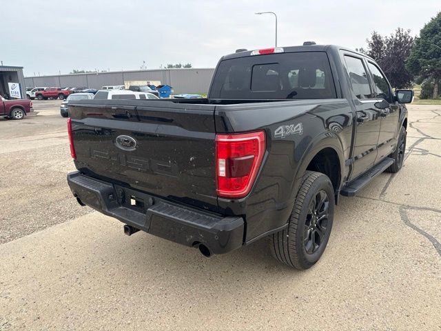 2023 Black Ford F-150 XLT 4X4 Truck