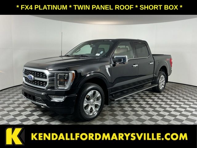 Black Metallic 2023 Ford F-150 Pickup Truck Four-Wheel Drive Automatic
