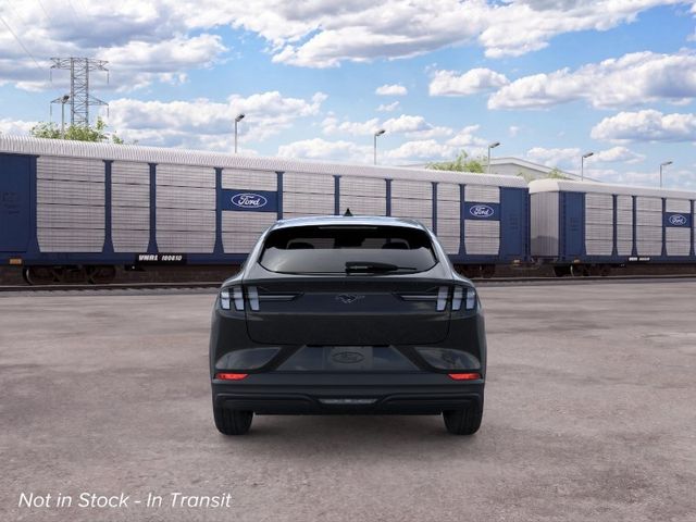 New 2026 Black Ford Premium image 6