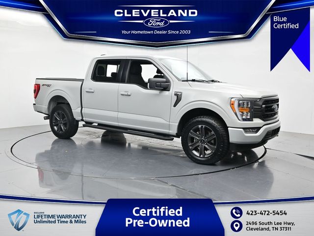 Avalanche 2023 Ford F-150 Pickup Truck Four-Wheel Drive Automatic