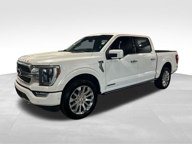 2023 Ford F-150 Limited White at Matthews Motors of Wilmington