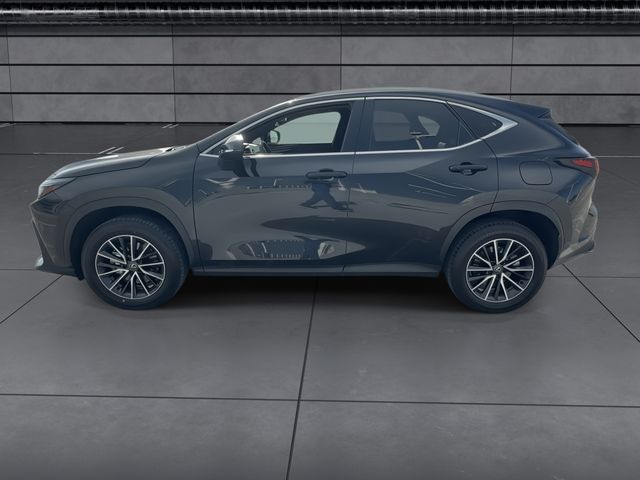 2024 Lexus NX - $38,788