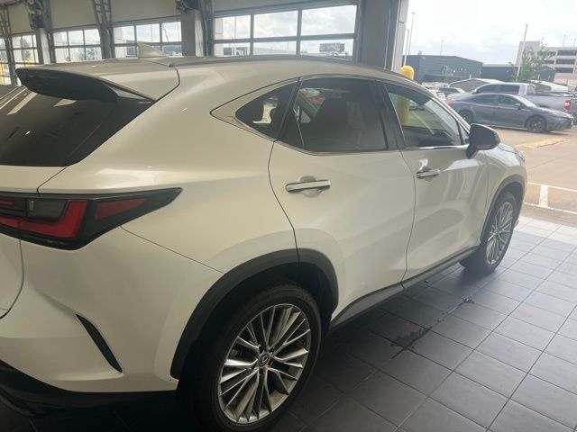 2025 Lexus NX 350 Premium White at Westside Lexus