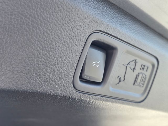 2023 Ford Expedition XLT:167703A