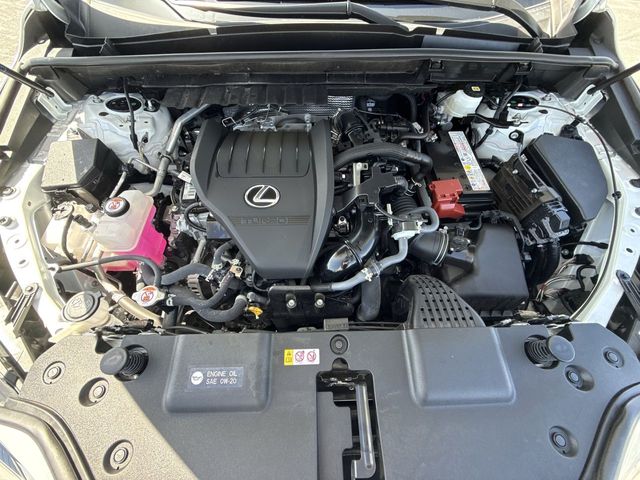 Used 2025 Lexus NX SUV