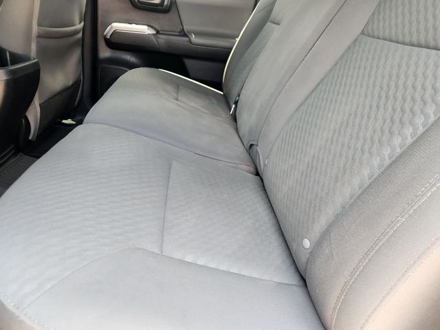 2023 Toyota Tacoma SR5 Blue at Don McGill Toyota