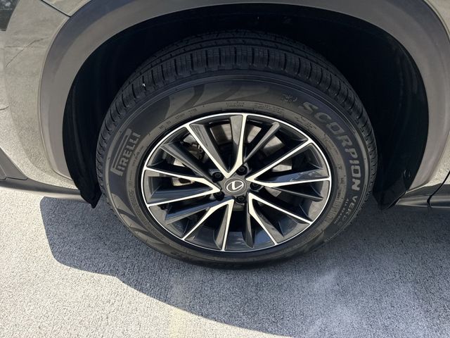2025 Lexus NX - $40,998