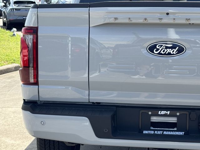 New 2026 Gray Ford Platinum image 10