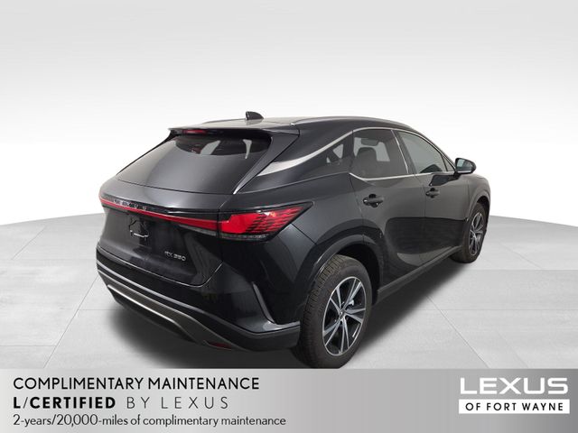 2024 Lexus RX RX photo