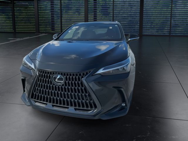 2025 Lexus NX - $46,888