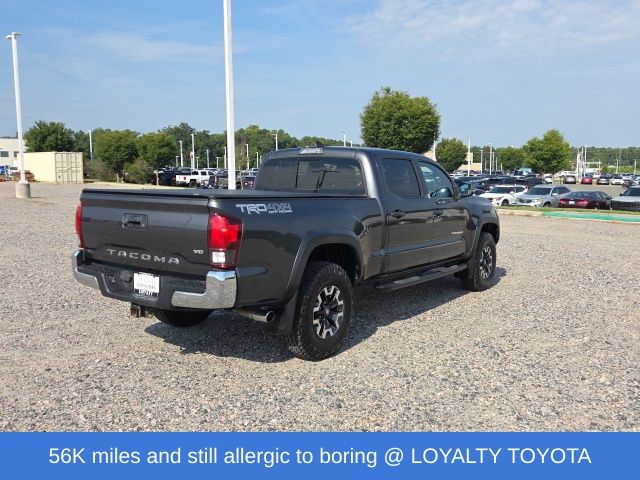 Used 2019 Toyota Tacoma Truck