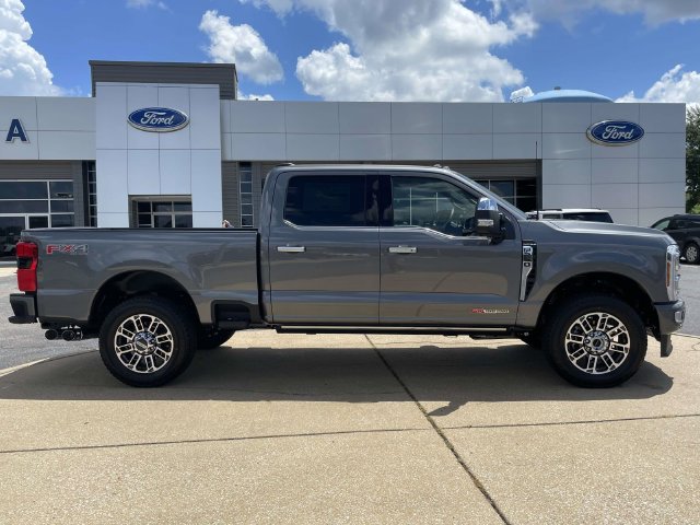 New 2026 Gray Ford Platinum image 2