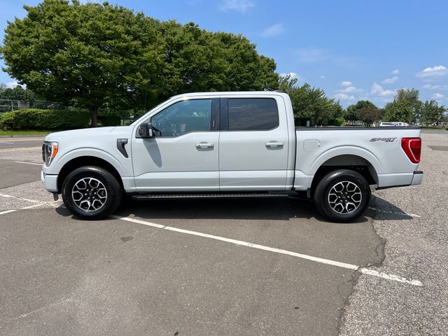 Used 2023 Ford F-150 Truck