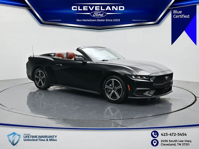 Shadow Black 2024 Ford Mustang Convertible Rear-Wheel Drive Automatic