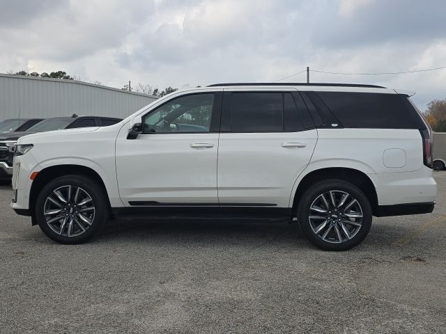 2021 Cadillac Escalade Sport Platinum:C02489