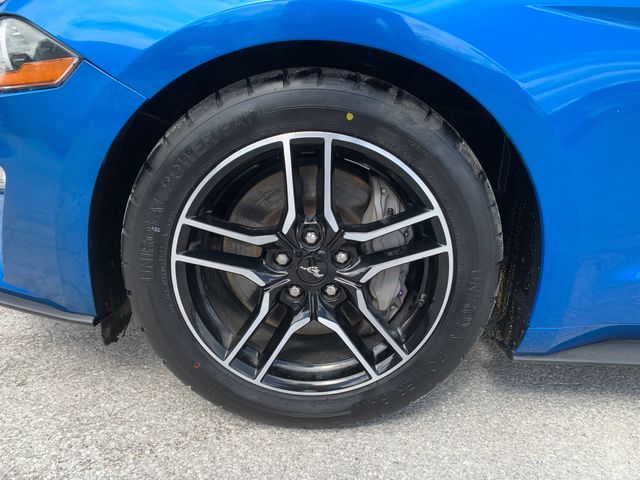 Used 2021 Ford Mustang Coupe