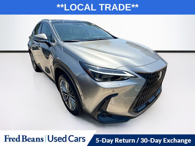 Silver 2025 Lexus NX Hybrid SUV / Crossover All-Wheel Drive Continuously Variable Transmission