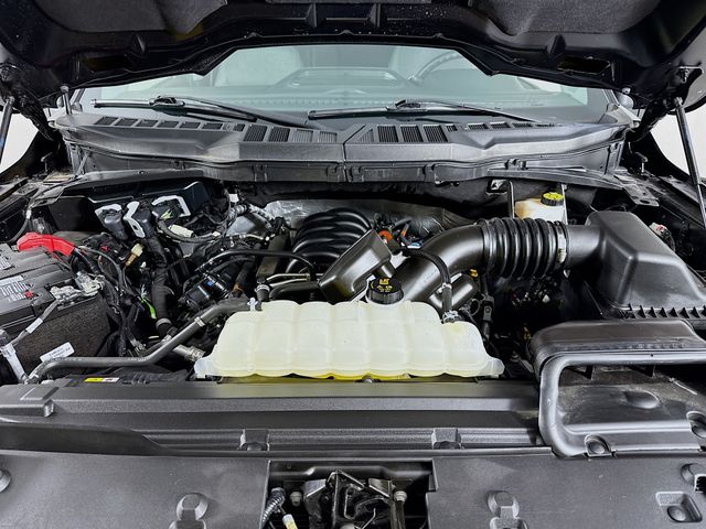 2024 Ford F-150 XLT photo
