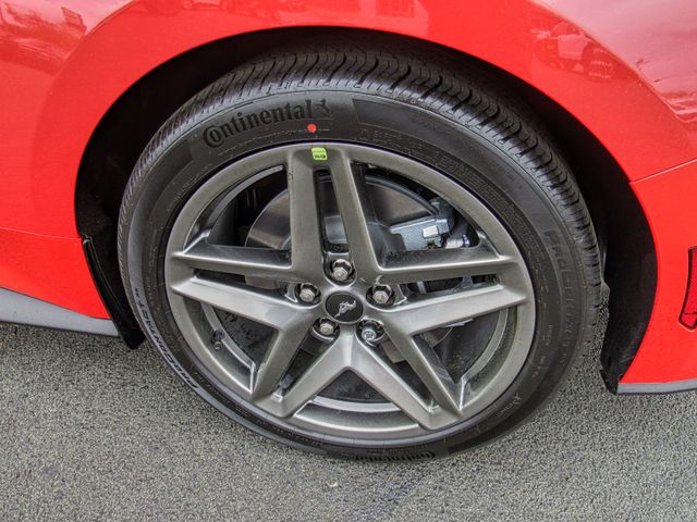 Photo of 2025 Ford Mustang GT Premium in Dallas, GA - 8,  2025 Ford Mustang GT Premium:166909