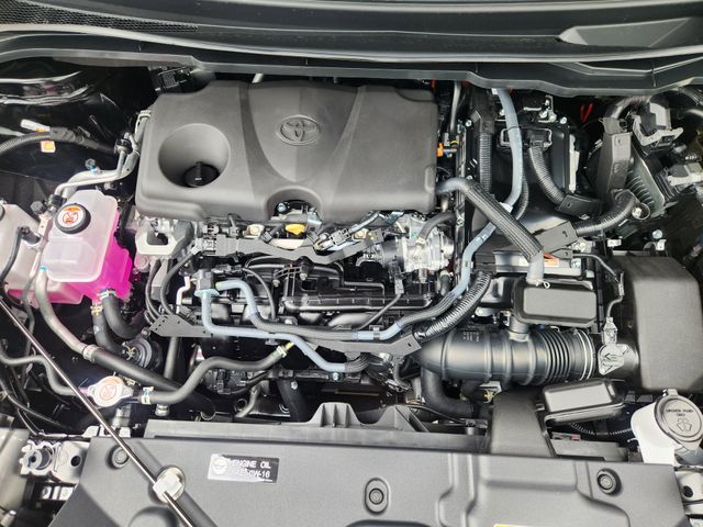 2026 Toyota Sienna XLE Black at Classic Toyota Galveston