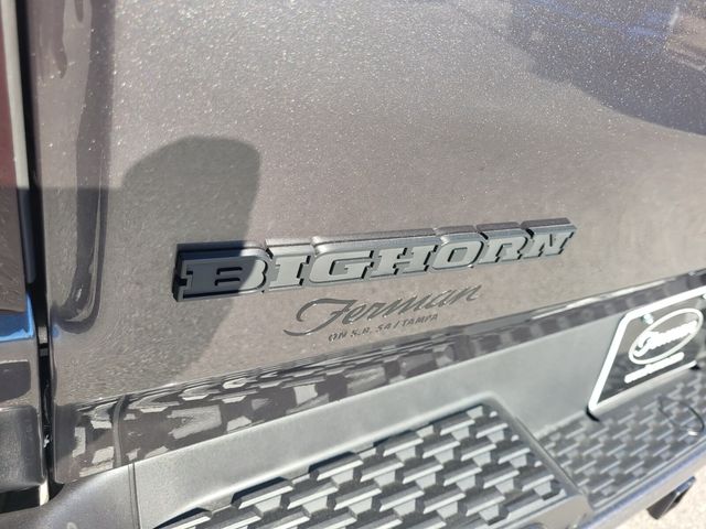 New 2026 Gray Ram Big Horn/Lone Star image 11