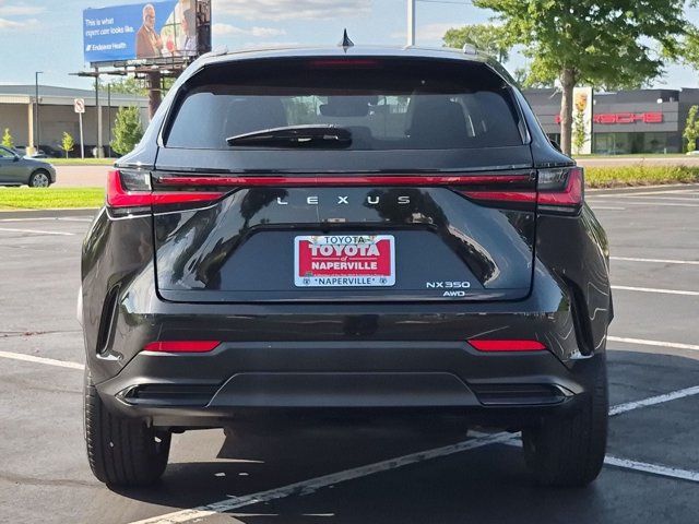 Used 2025 Lexus NX SUV