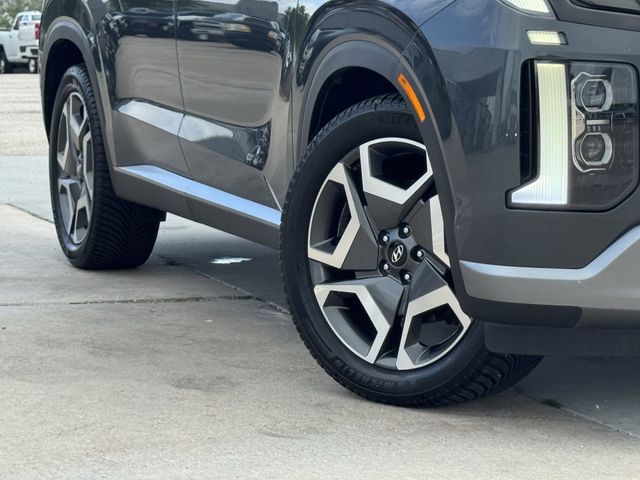 2023 Hyundai Palisade Limited - 10