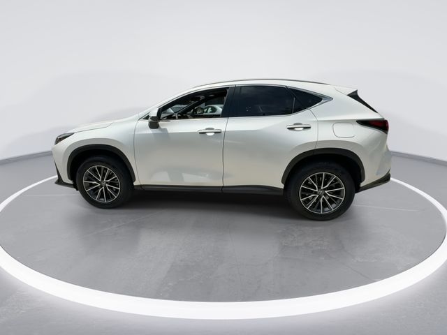 Used 2024 Lexus NX SUV