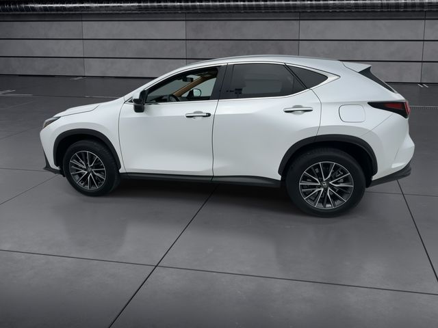 2025 Lexus TX 350 - $39,988