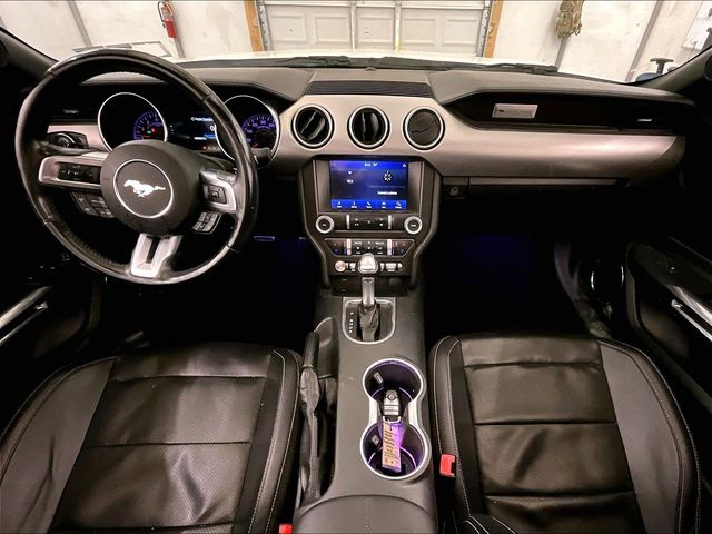 2021 Ford Mustang EcoBoost Premium White at Bob Ruth Ford