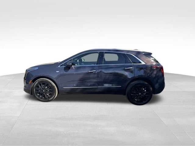 2024 Cadillac XT5 Premium Luxury 2