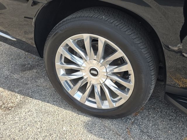 2024 Cadillac Escalade ESV Premium:C02484