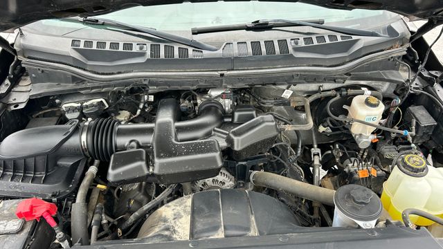 Used 2019 Ford F-250SD Truck