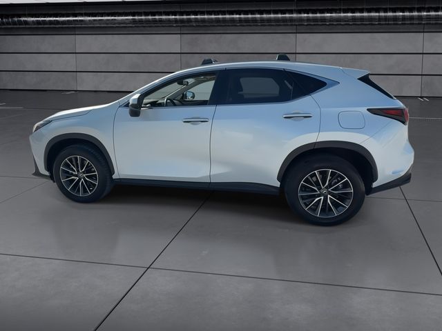 2025 Lexus NX - $47,998