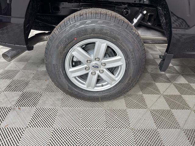 2025 Agate Black Metallic Ford F-150 XL 4X4 Truck