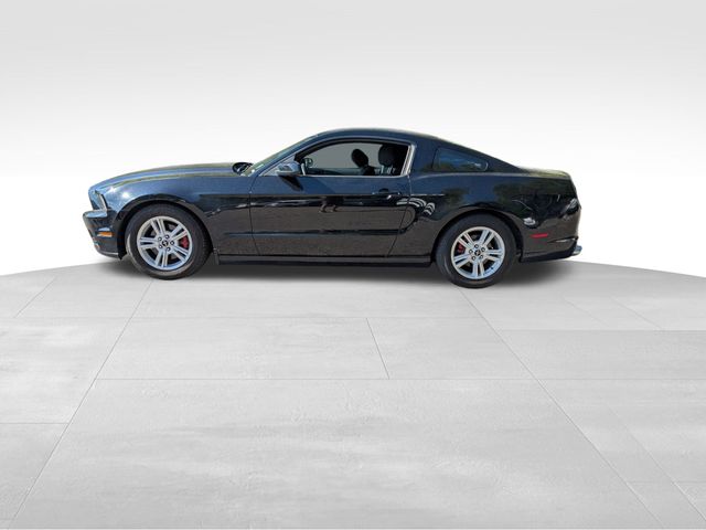 2014 Ford Mustang V6 photo