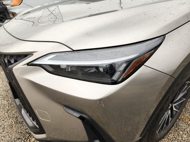 2024 Lexus NX 350h Base Silver at Westside Lexus